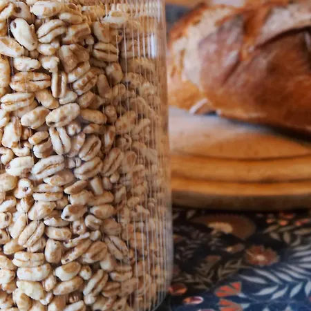 Bed and Breakfast Au Moulin D'izaourt Izaourt